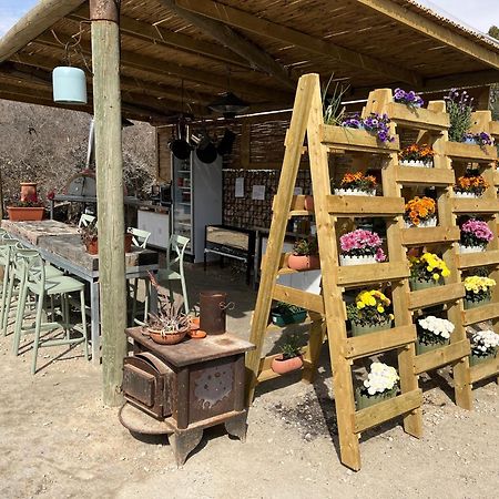 Carmey Avdat Farm Midreshet Ben Gurion Dış mekan fotoğraf