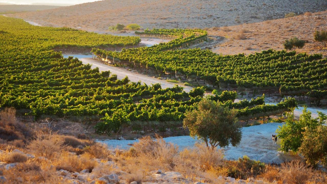 Carmey Avdat Farm Midreshet Ben Gurion Dış mekan fotoğraf