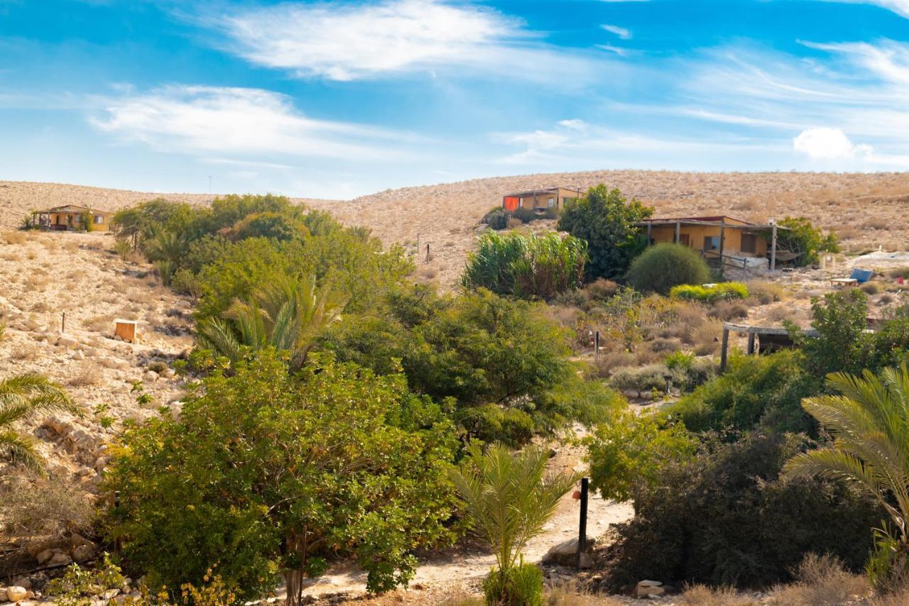 Carmey Avdat Farm Midreshet Ben Gurion Dış mekan fotoğraf