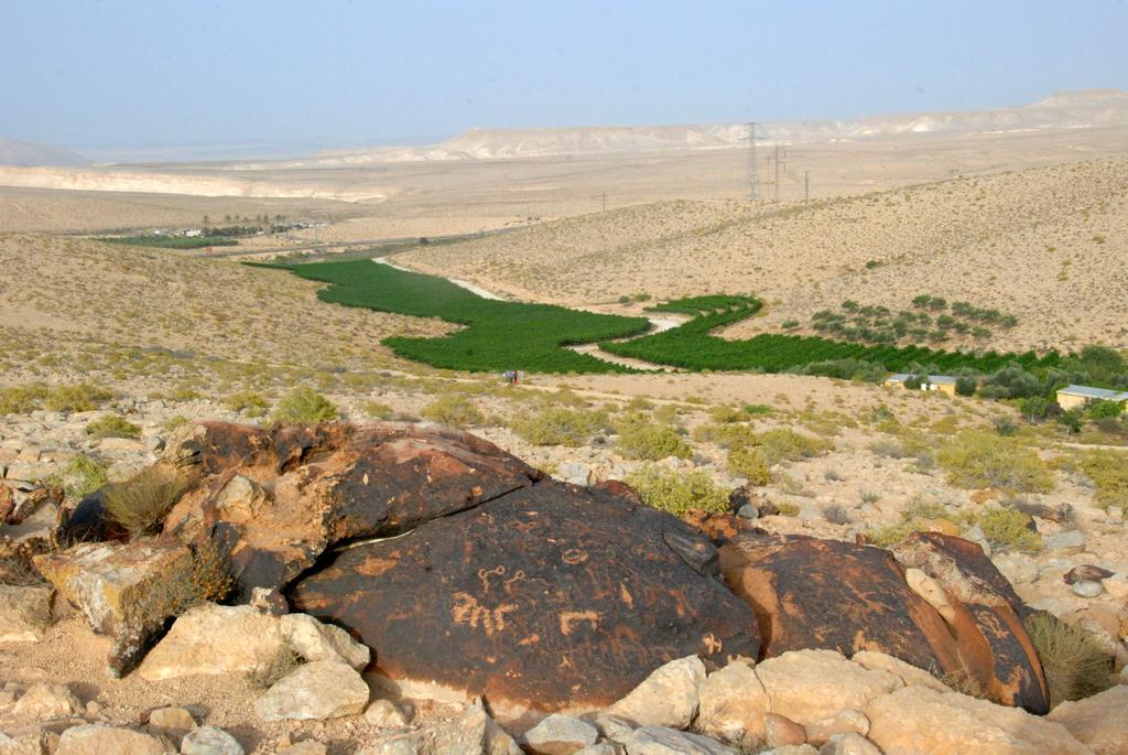 Carmey Avdat Farm Midreshet Ben Gurion Dış mekan fotoğraf