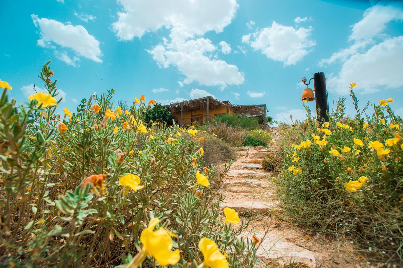 Carmey Avdat Farm Midreshet Ben Gurion Dış mekan fotoğraf